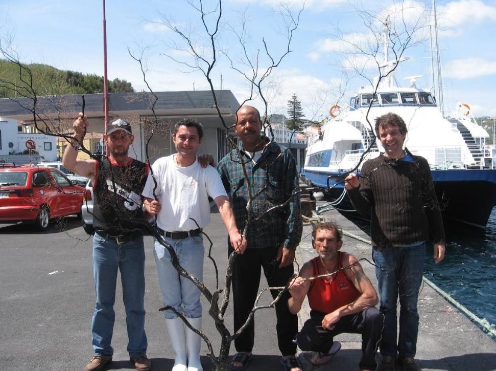 Impacts of human activities in the deep-sea