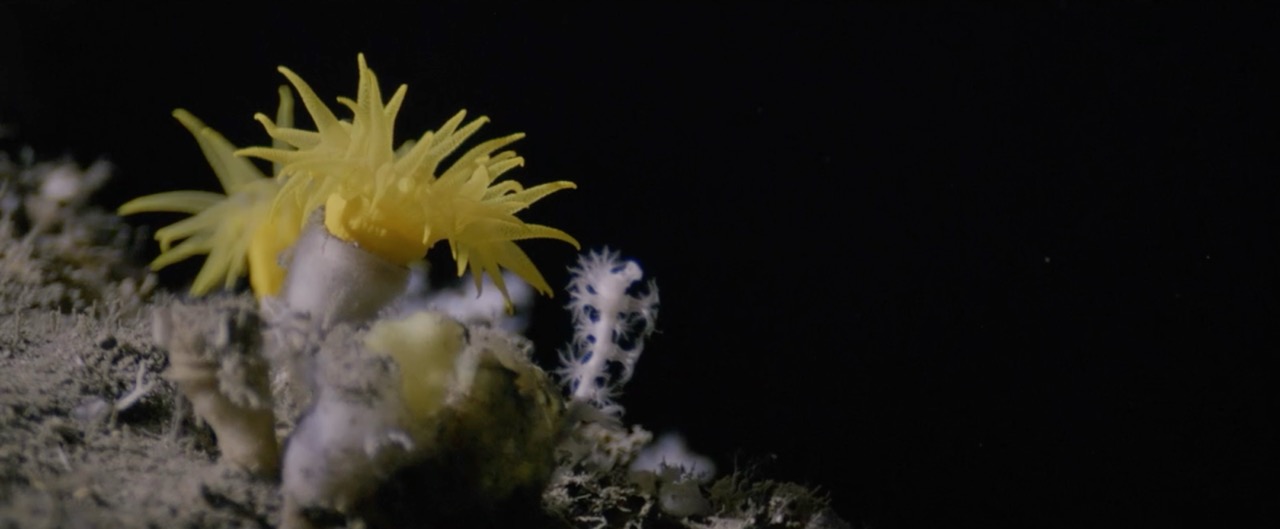 Meia Milha Para Baixo — Image 15