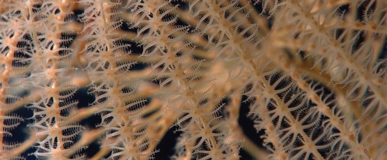 Meia Milha Para Baixo — Image 16